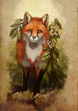 fox [caming ou of the woods]