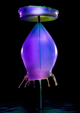 Violet Baloons