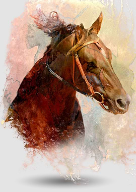 Horse through Water Color
