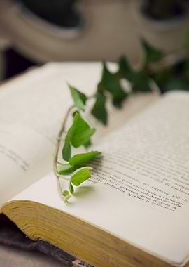 ivy book open nature leaf page romantic poetic