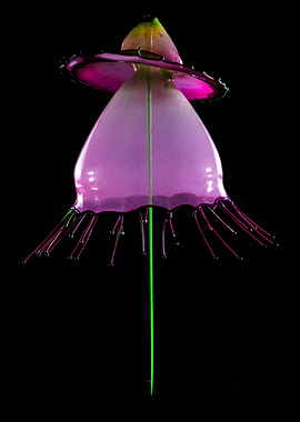 Pink and yellow splashes