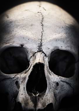 The Skull