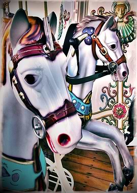 The Carousel