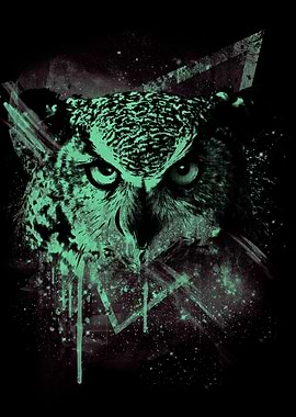 Cosmic Owl