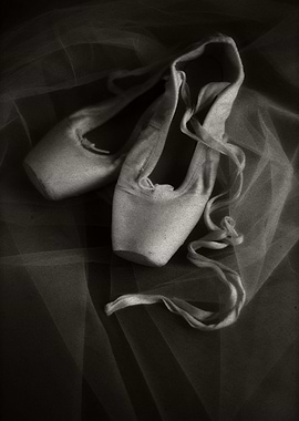 Ballet shoes