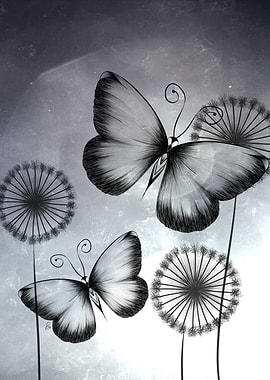 Butterflies