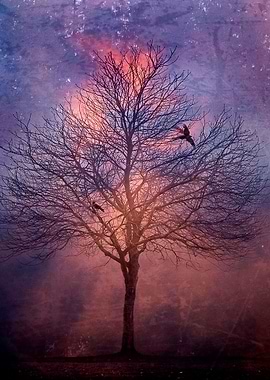 Winter Tree At Dawn