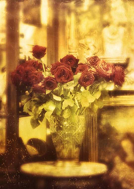 Red roses on Barcelona&#39;s street