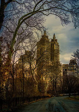 The Eldorado From Central Park