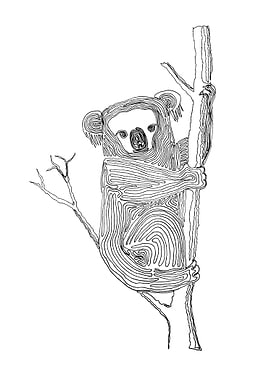 Koala - Drawing with One Line Line begins at the top of ...
