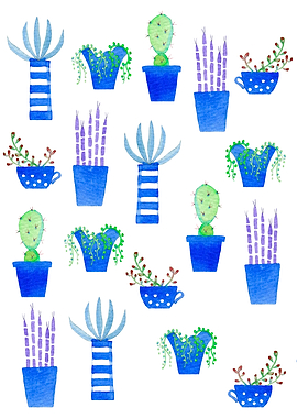Cacti and Succulents