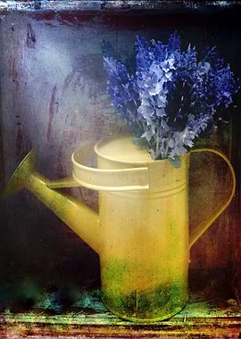 One Yellow watering can with violet flowers