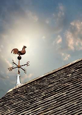 weathercock