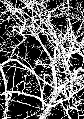 Female Logic Made Simple