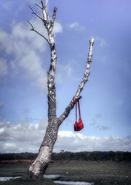 red bag hanging on a dead tree in a bleak landscape