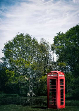 red telephone box in the forest