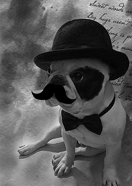 Gentledog