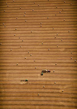 Field of hay being farmed