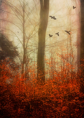 Last leaves on some small trees in a hazy forest