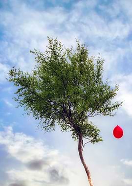 red balloon on a tree