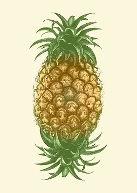 Genetically Engineered Pineapple