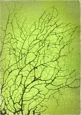 Green Ideas are Inspirational