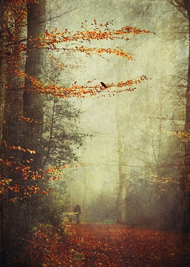 man walking a dog through an autumnly forest