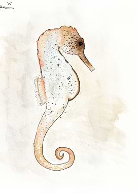 Brown Seahorse