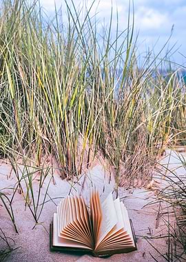 summertime is reading time