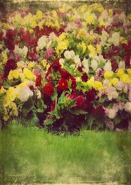 Vintage Pretty Garden