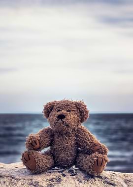 teddy bear at the sea