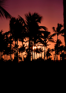 Sunset in PuntaCana