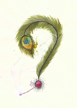Question the Peacock? - watercolour of parchment paper. ...