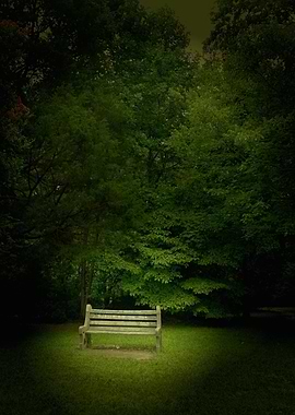 Lonely Bench