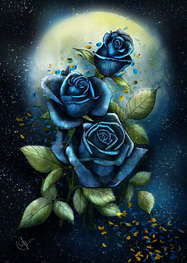 Night Roses