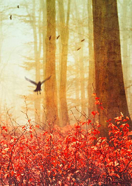 Serene forest scenery in fall with birds