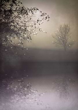 SONG OF THE NIGHTBIRD VELVET