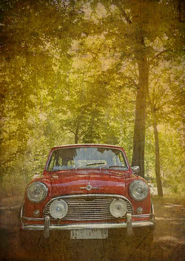 The Mini