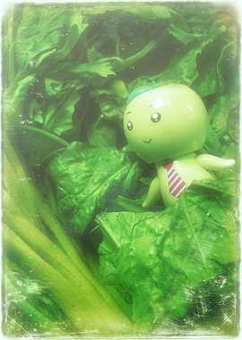 Spinach and Celery Juice