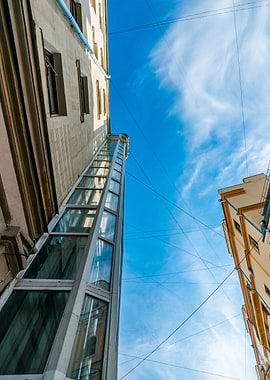 Caught In The Urban Web