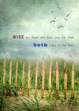 wise are those who have seen life from both sides of th ...