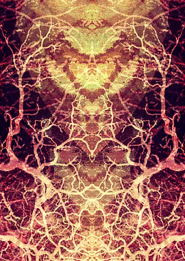 Title: Burning Roots VI-A. ©2015 Pia Schneider | atelie ...