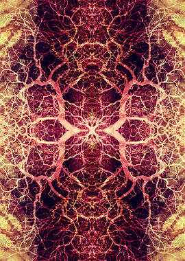 Title: Burning Roots IX. ©2015 Pia Schneider | atelier ...