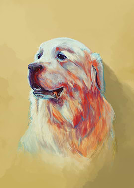 Bubba the great pyrenees