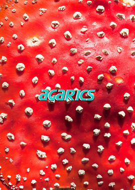 Agarics
