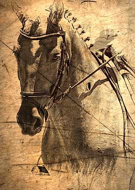 Equestrian A nostalgic vintage image of a horse by Clar ...