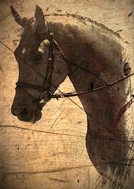 Remembering A nostalgic vintage image of a horse by Cla ...