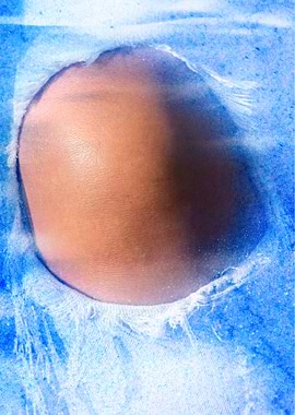 Seasoned Polar Explorer