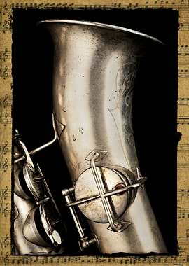 Saxophone Profile