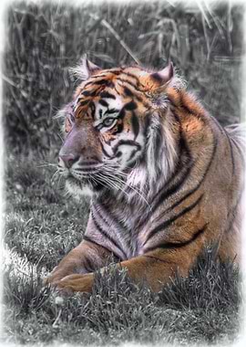 Don&#39;t Make Me Cross